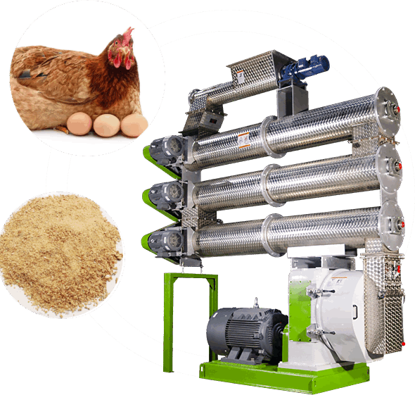 hen feed making machine